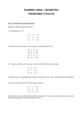 Problemes tutelats7.pdf