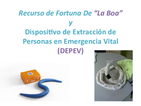 RECURSO-DE-FORTUNA-BOA-y-DEPEV.pdf