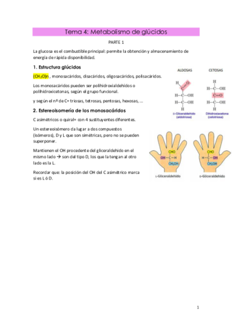 Tema-4-primera-y-segunda-parte.pdf