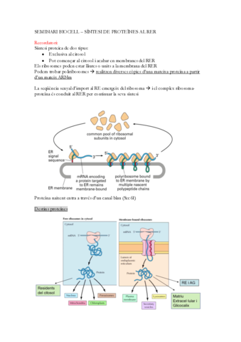 SEMINARI-BIOCELL.pdf