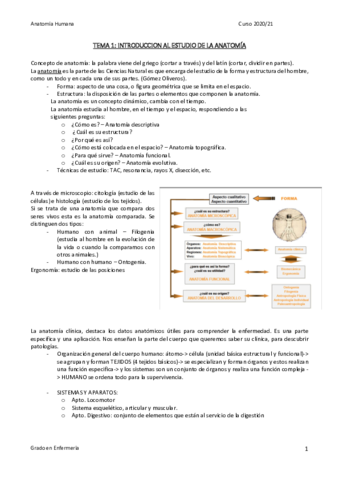 TEMA-1-al-4-ANATOMIA.pdf