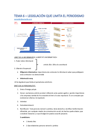 TEMA-6-APUNTES.pdf