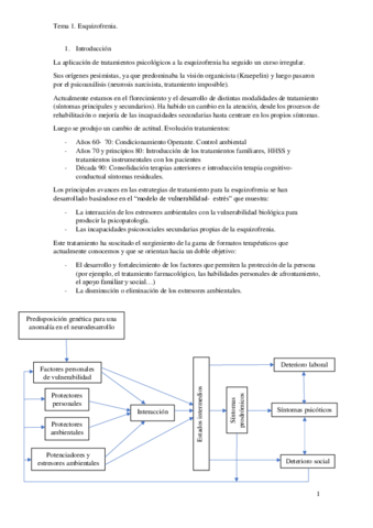 Tema 1. Esquizofrenia.pdf