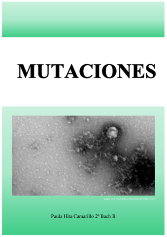 Tipos-de-mutaciones.pdf