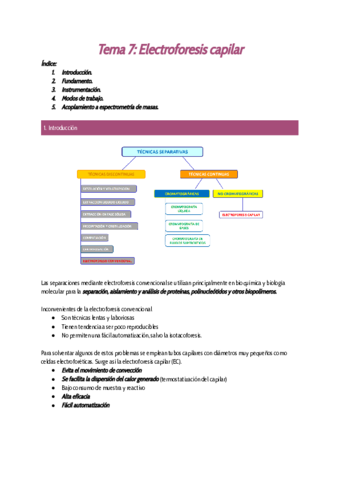 Tema-7-Electroforesis-capilar.pdf