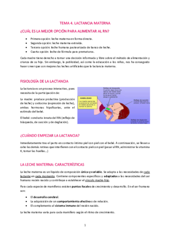 T4-Lactancia-materna.pdf