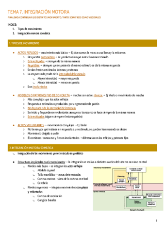TEMA-7.pdf