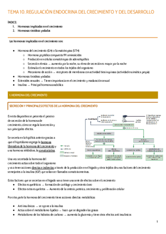 TEMA-10.pdf