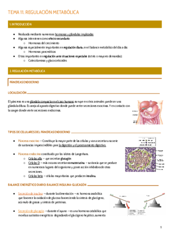 TEMA-11.pdf