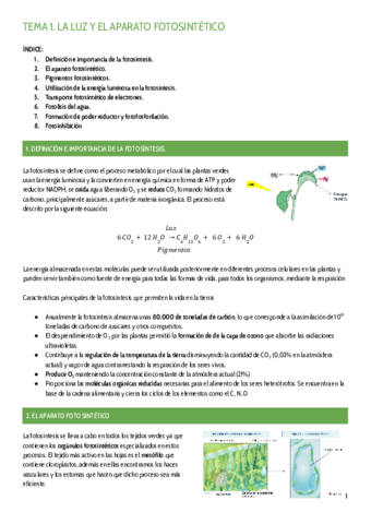 TEMA-1.pdf