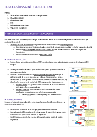 TEMA-4.pdf