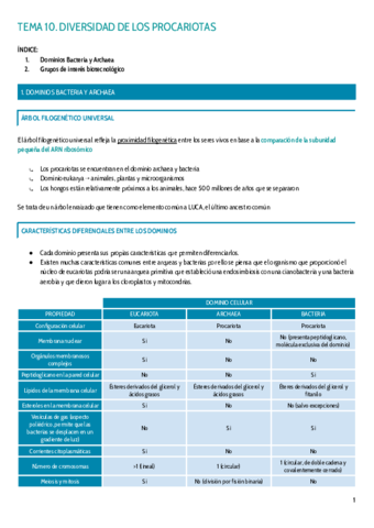 TEMA-10.pdf