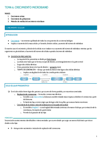 TEMA-6.pdf