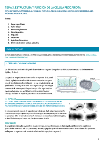 TEMA-3.pdf