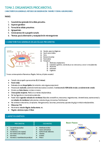 TEMA-2.pdf