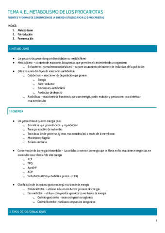 TEMA-4.pdf