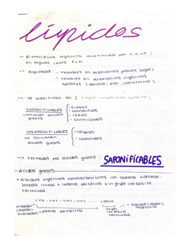 Lipidos.pdf