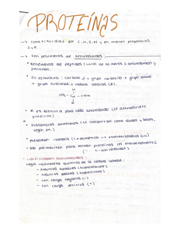Proteinas.pdf