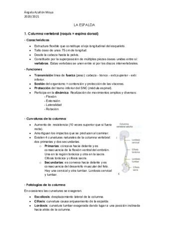 Columna-vertebral.pdf