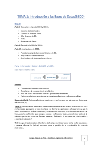 Tema-1-Introduccion-a-las-bases-de-datos-Resumen.pdf