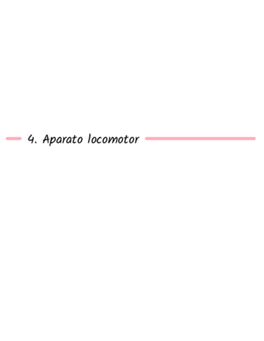 4Aparato locomotor.pdf