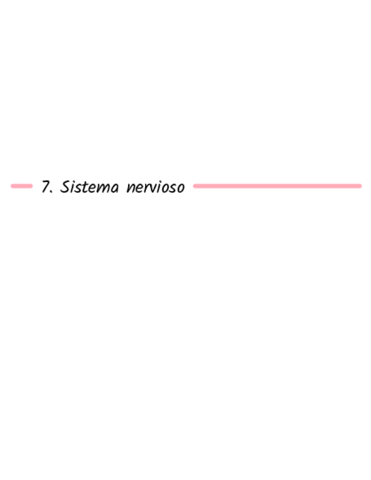 7Sistema nervioso.pdf
