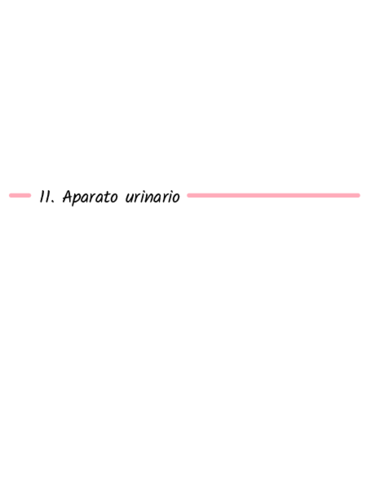 11Aparato-urinario.pdf