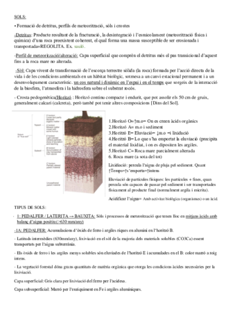 SOLSpdf.pdf