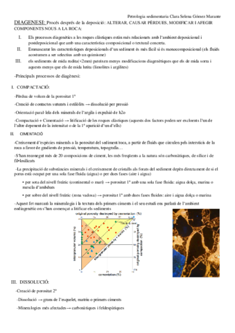 DIAGENESI.pdf