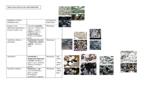 NOMENCLATURA-SISTEMATICA.pdf