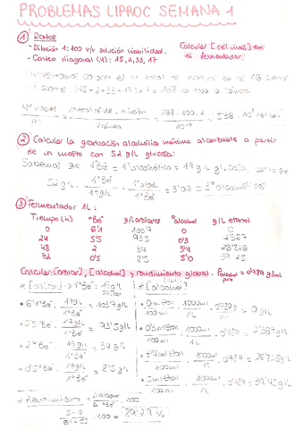 Problemas-Examen-LIPROC.pdf