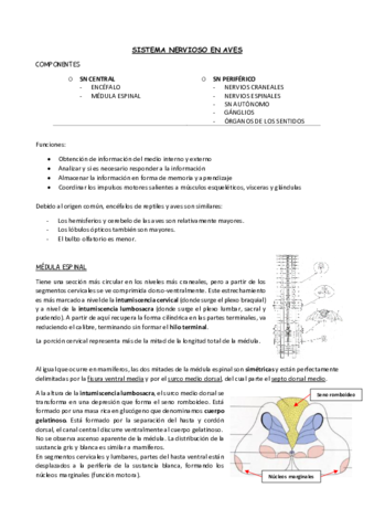 Aves-SN.pdf