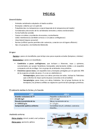 Apuntes-Peces.pdf