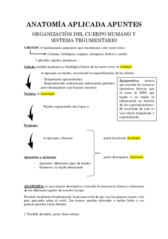 anatomia-apuntes-cuerpo-humano-y-ssma-tegumentario.pdf