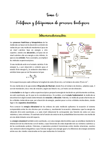 TEMA-6.pdf