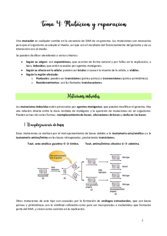 TEMA-4.pdf