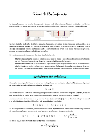 TEMA-14.pdf