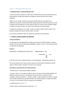 TEMA_1.pdf