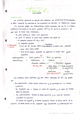 Tema-6-Enzimas.pdf