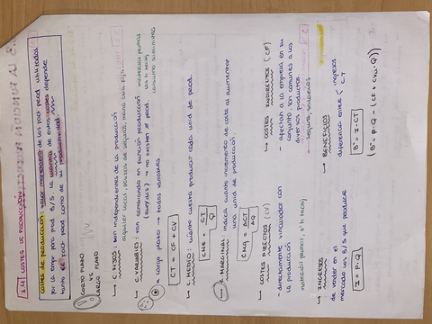8D65DF14-F9C1-4DDF-AF53-26BE080E1885.jpg