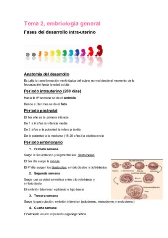tema-2-anatomia.pdf