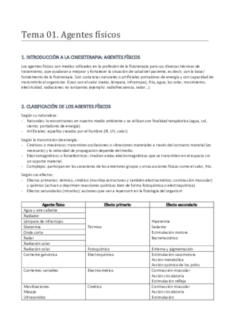 Temario-completo-cinesiterapia.pdf