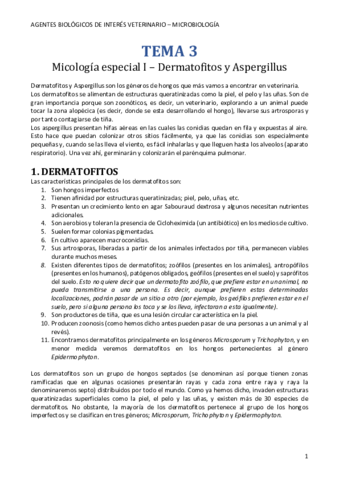 TEMA-3-micologia-especial-I.pdf