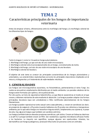 Tema-2-Caracteristicas-principales-de-los-hongos-de-importancia-veterinaria-.pdf