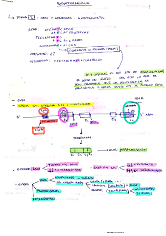 bioinfor-2.pdf