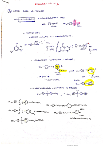 quimioterapicos-1.pdf