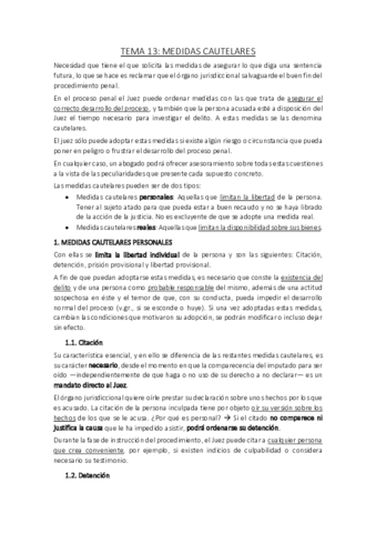 Tema-13.pdf