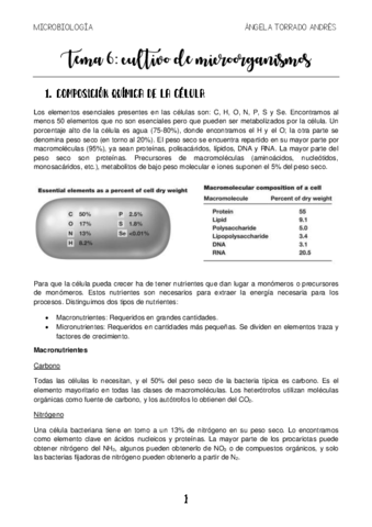MICROBIOLOGIA-TEMA-6.pdf