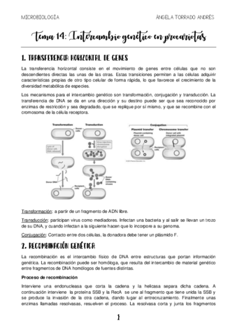 MICROBIOLOGIA-TEMA-14.pdf