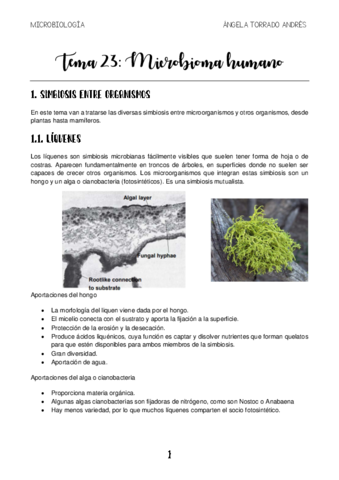 MICROBIOLOGIA-TEMA-23.pdf